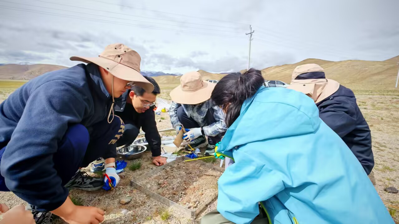 新澳门六合彩内部资料